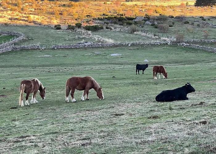 La Nava De Gredos Acogedor Piso Con Vistas