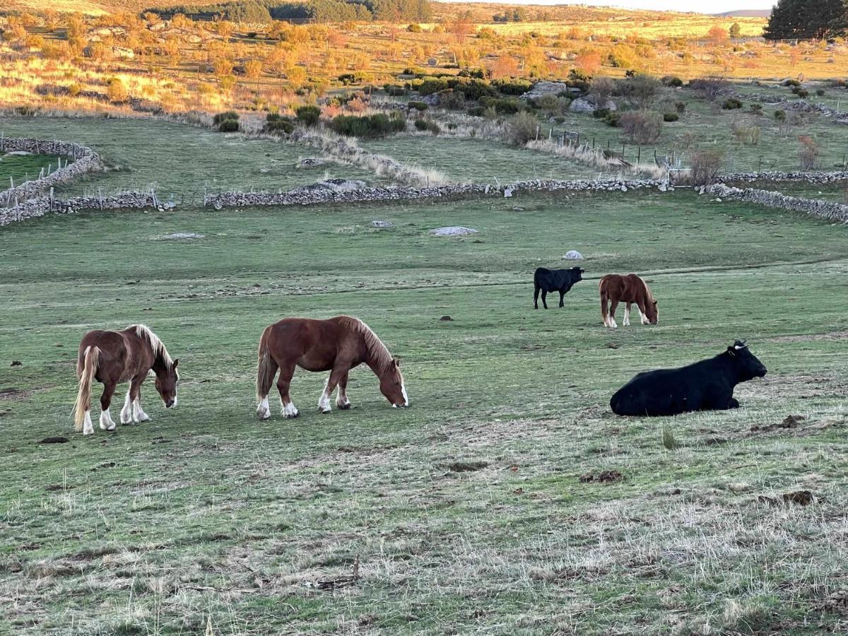 Apartment La Nava De Gredos Acogedor Piso Con Vistas Navarredonda de Gredos
